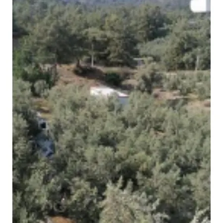 Elif-su1 * Φετιγιέ